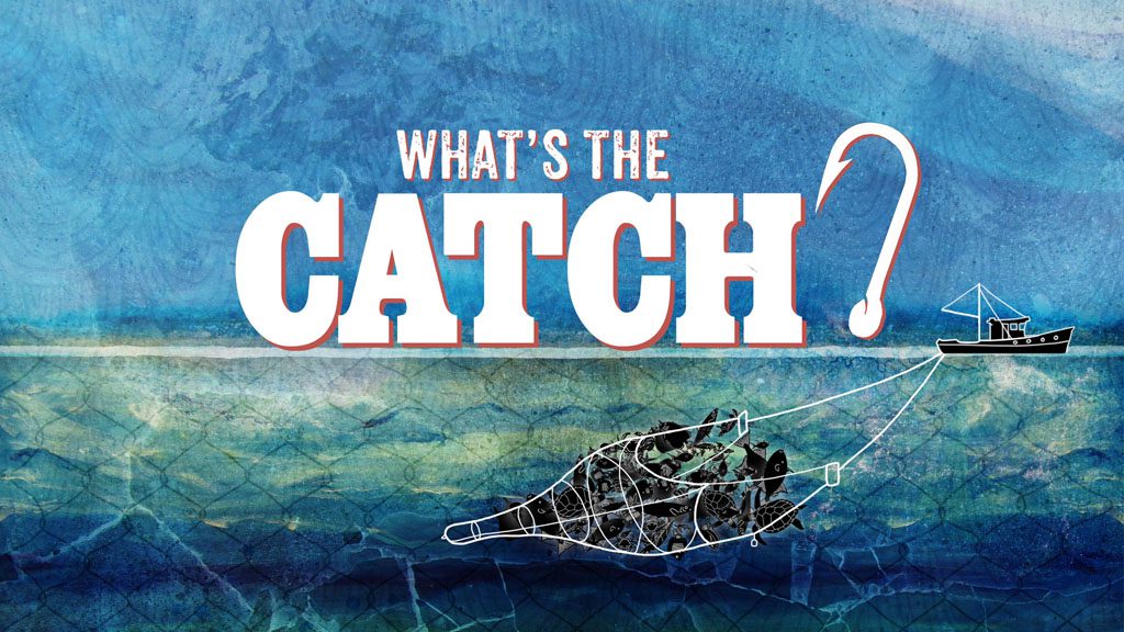 ON AIR: What’s the Catch? Thursdays 8.30pm on SBS