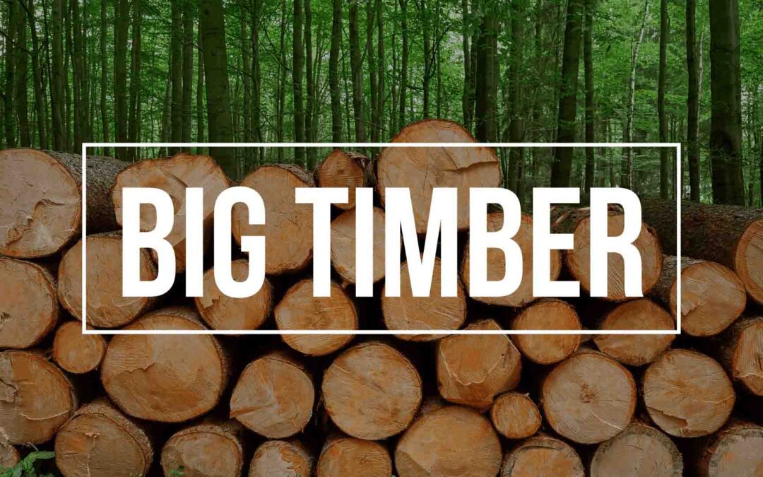 Big Timber