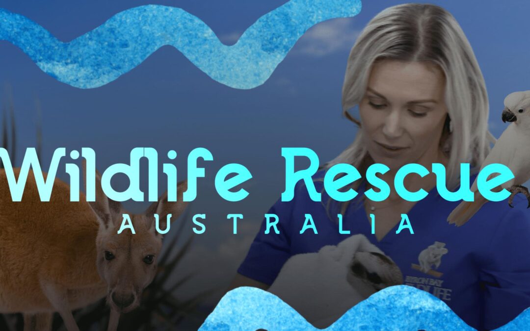 Wildlife Rescue Australia