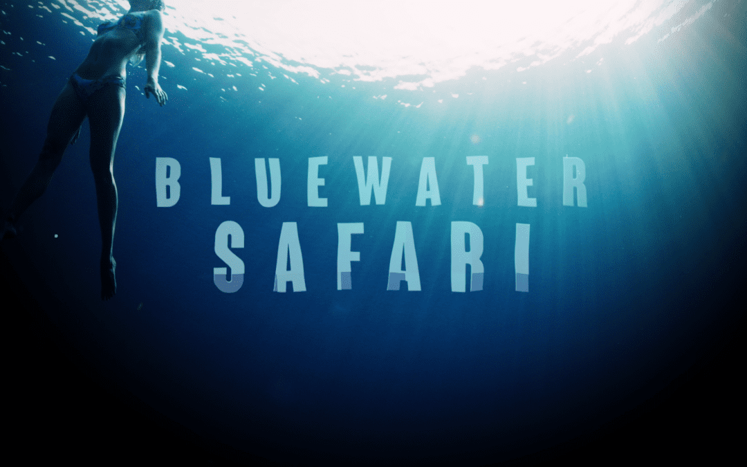 Bluewater Safari